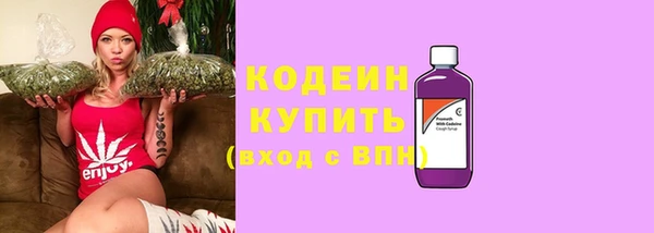 первитин Лабытнанги