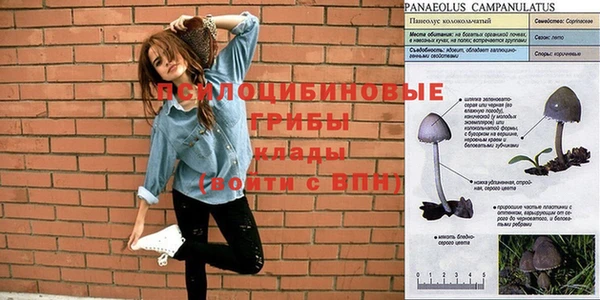 прущая мука Лиски