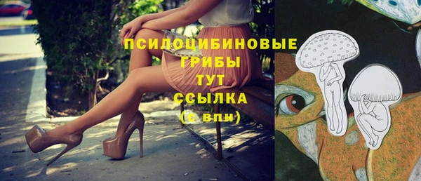 ПСИЛОЦИБИНОВЫЕ ГРИБЫ Лагань