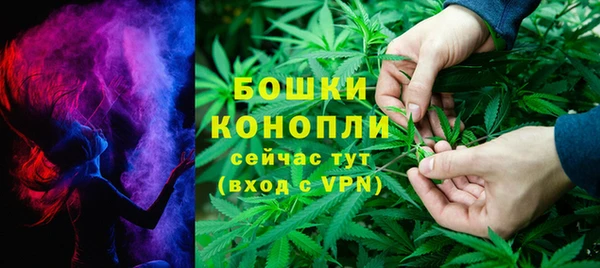 не бодяженный Ладушкин