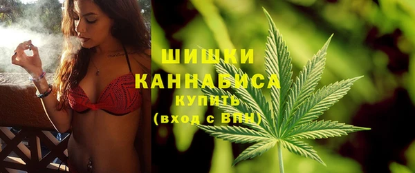 ПСИЛОЦИБИНОВЫЕ ГРИБЫ Лагань