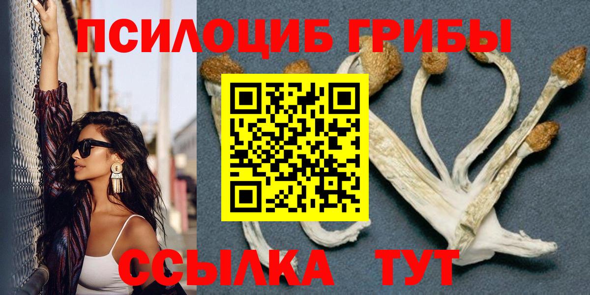 магазин продажи наркотиков  Псилоцибиновые грибы мухоморы  Вход с VPN  Южноуральск 