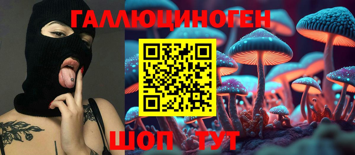 Псилоцибиновые грибы Cubensis Южноуральск